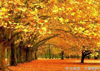 描写很早以前的经典句子