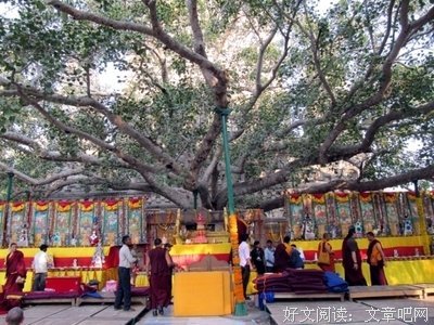 最新的释迦摩尼名言