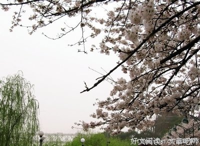 青衫落拓名言警句