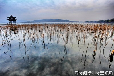 最全的《如果世界冰封了》佳句摘抄