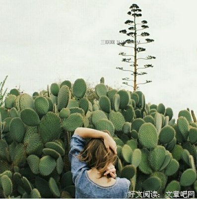 一份让自己低到尘埃里的感情，该不该坚持？