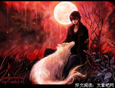 《狼图腾》优美的句子