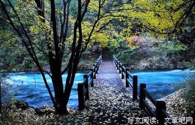 拾年尽欢优美的句子