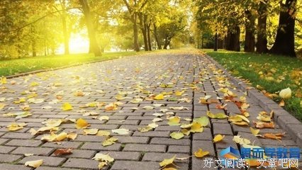 汪国真优美的句子