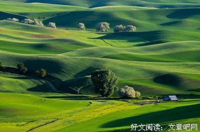 关于无与伦比的格言