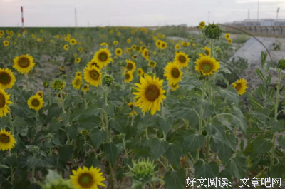 2018杰克·伦敦名言