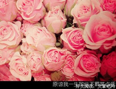 你走吧，我会好好的