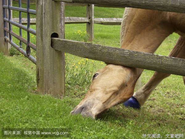关于我走路带风的格言