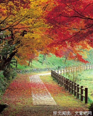 最经典的《我当道士那些年》佳句摘抄大全