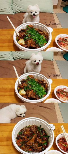 最经典的《每次想你都心痛》语录摘抄
