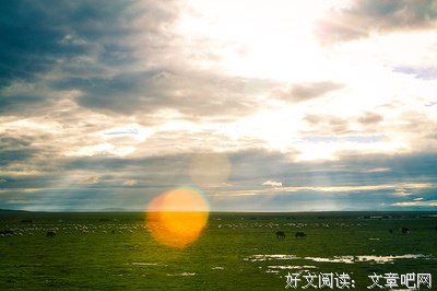 最新的《红玫瑰与白玫瑰》经典句子