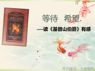 《新基督山伯爵》经典观后感10篇