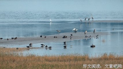 关关雎鸠读后感精选10篇