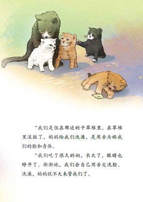 《卖故事》读后感精选10篇