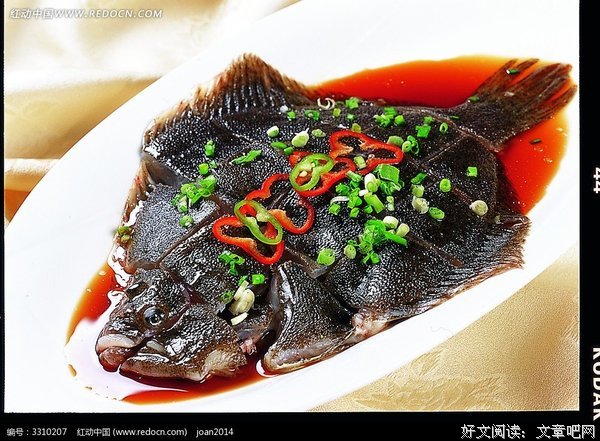 《多宝不是鱼》读后感精选10篇