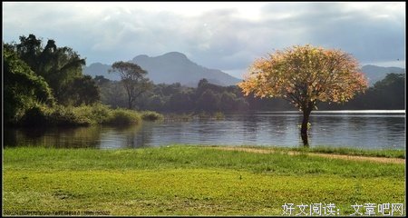 清晨见闻