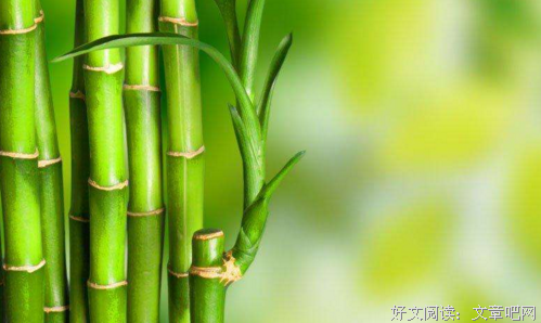 关于可爱的优美句子