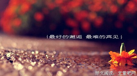 爱情句子大全