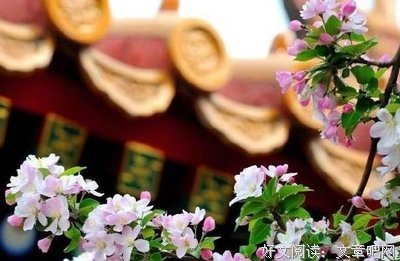 我心中的人性句子