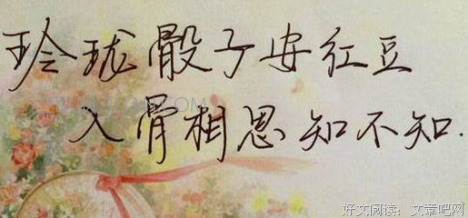 《所以的失去》的句子