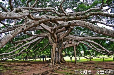 圣严的名言_关于圣严的名言