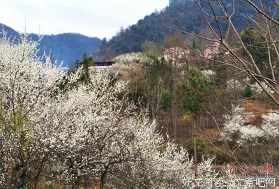 关于漫山遍野的语句