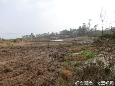 关于荒田的名言
