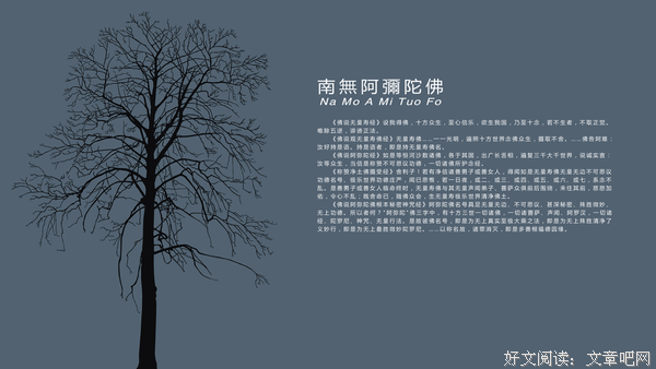 《阿弥陀佛么么哒》好段摘抄大全