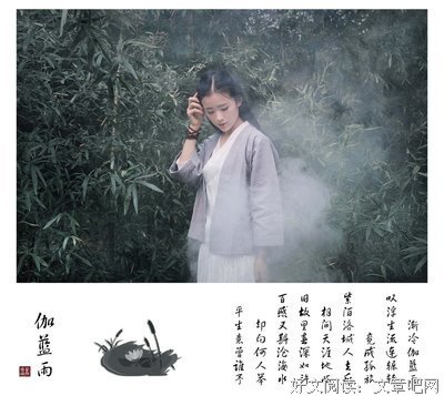 最新的《细雨喃喃 伽蓝雨》经典的句子