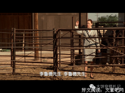 最全的《“白骨精”养成记》经典句子