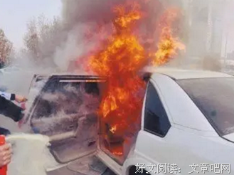 这两个生肖万万不能结婚，否则家里永远鸡犬不宁