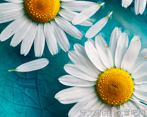 这一生，血缘关系是无法选择的