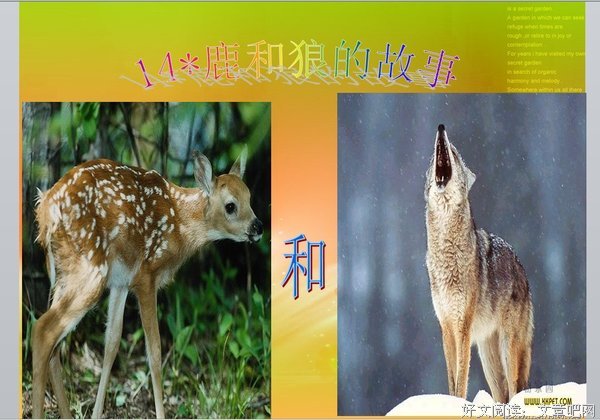凯句子大全
