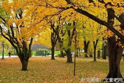 关于※暮的优美句子