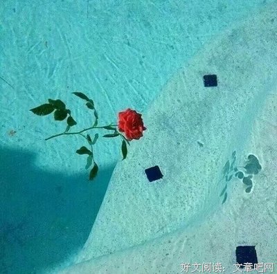 关于执拗的名言