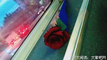 活成自己喜欢的模样