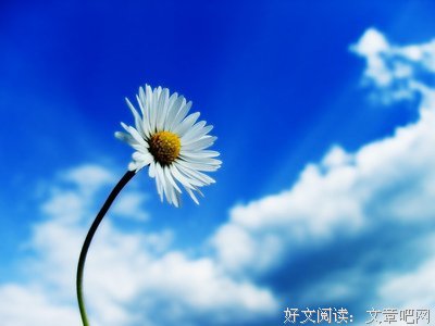 关于许秋灵的座右铭
