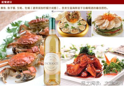 关于菲利普·罗斯名言