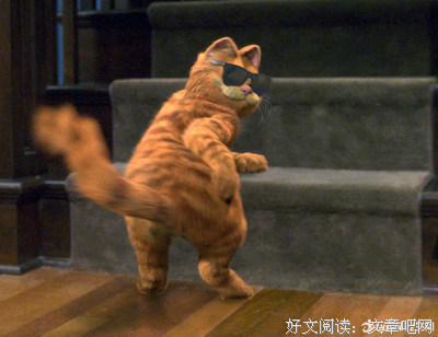 最经典的忘记呼吸的猫的名言