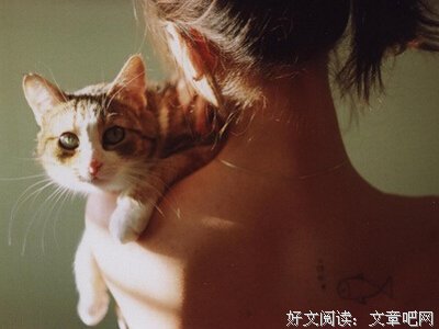 最新的《我想和你互相浪费》经典的句子