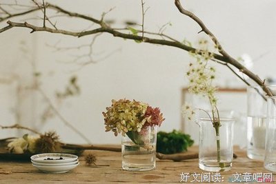 最经典的《生活的另一种美好》经典语录