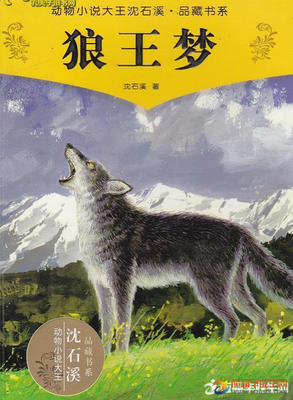 少的力量读后感精选10篇