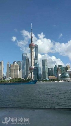 我的马呀！戏精上线，正经人画不正经的马