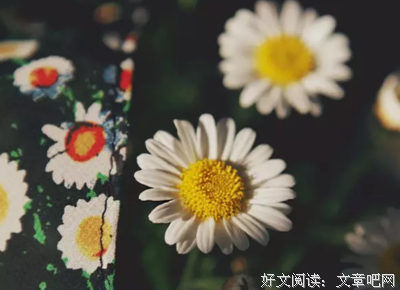 甜蜜里界下恋好词好句