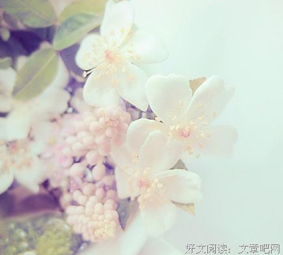 《句如人生，苦辣酸甜》的句子