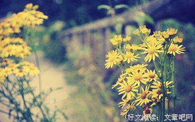 偶的句子