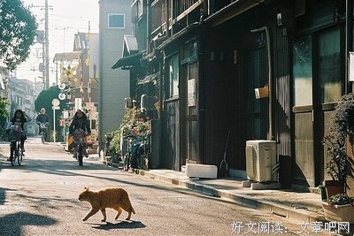 你好的优美句子