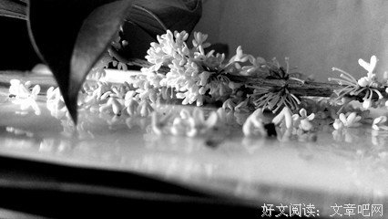 作文必备经典的句子