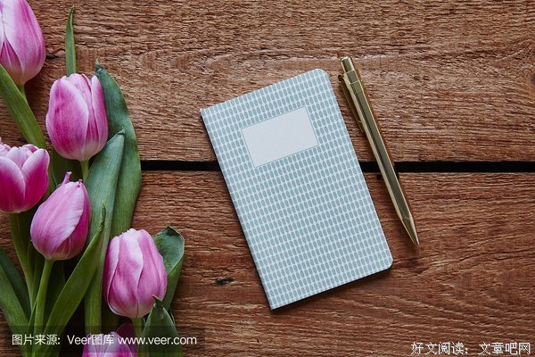 那年春天，我租了一间写满“拆”的屋子丨人间 · 租客日记