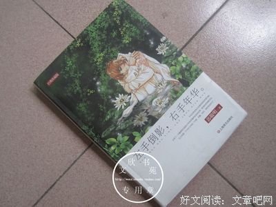 最全的《左手倒影，右手年华》佳句摘抄